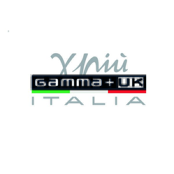 Gamma IES Energy Saving hairdryer at Wiles Hair Salon in Northampton