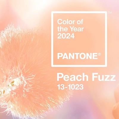 Hair Colour of the Year